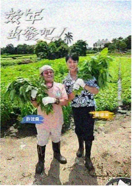 角色图鉴补充说明资讯配图